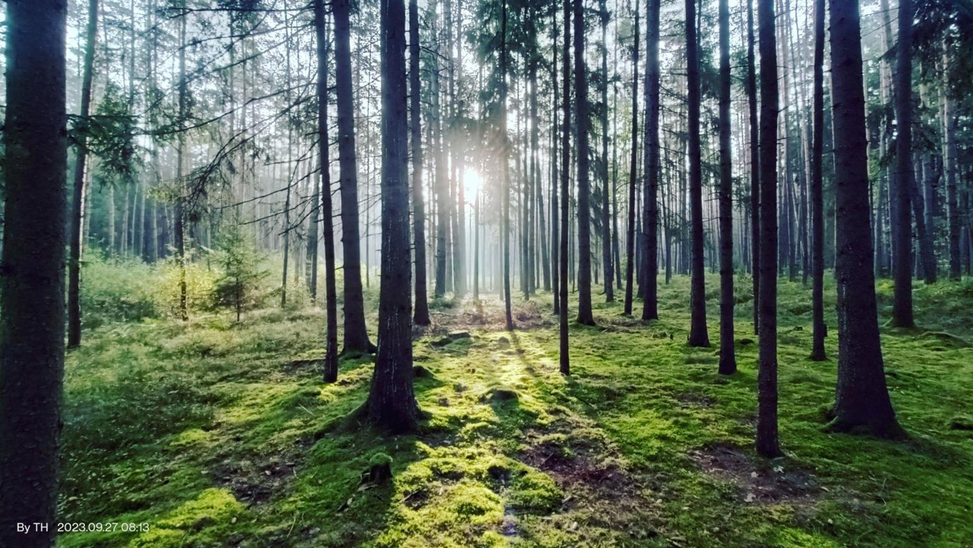 Chata Marecek - V Lesni Osade U Reky Luznice Skalice Extérieur photo